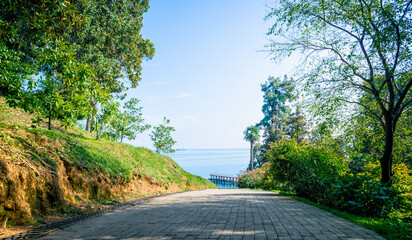 descent road in a park overlooking the sea in Georgia