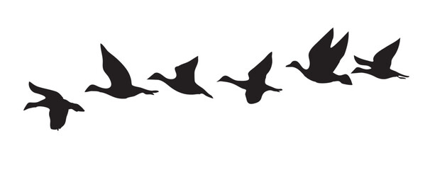 Silhouette of a birds migration vector icon