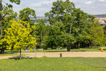 Park in Praque