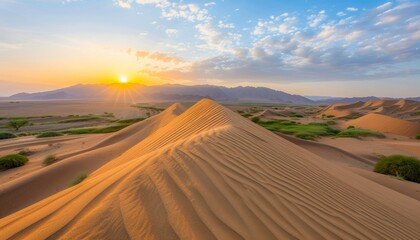 Spectacular sahara desert panorama at sunset with golden sand dunes   captivating landscape banner
