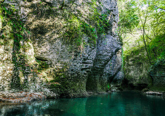 mountain river with tall cliffs and green plants in a canyon in Georgia in autumn