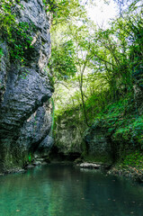 mountain river with tall cliffs and green plants in a canyon in Georgia in autumn
