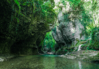 river and stream in the mountains with green plants in Georgia