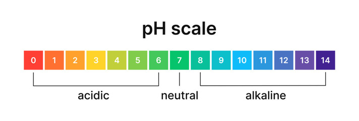 Ph level of acid and alkaline balance. Scale indicator for litmus paper test. Vector isolated infographics on white background. - obrazy, fototapety, plakaty