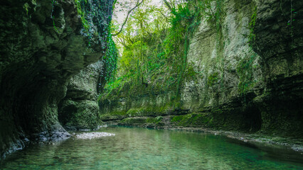 Naklejka premium river in the mountains with green plants in Georgia