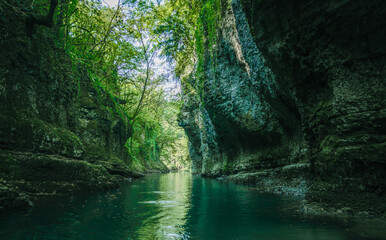 mountain river among rocks with green plants in Martville Canyon in Georgia