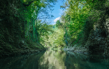 Obraz premium mountain river among rocks with green plants in Martville Canyon in Georgia