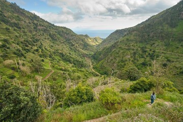 beautiful view from the footpath around the Levada on Madeira