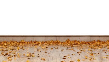 autumn leaves on tile floor isolated on transparent background cutout
