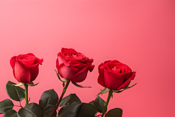 Fototapeta premium bouquet of roses in a side of the background, pink background,background for a invitation card