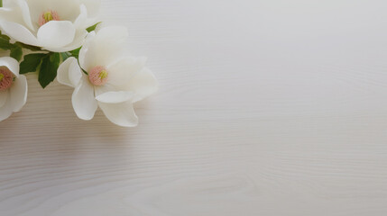 Top view of blooming white flowers on wooden board background.