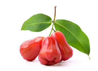 Bunch of rose apples with leaves isolated on white background. Clipping path.