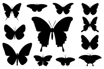 Butterfly set silhouettes on white background illustration vector
