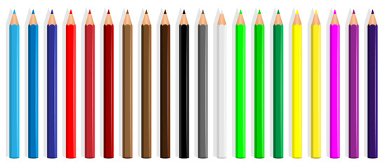 Colored pencils Crayons laying in row. Wave line made by pencil tips. Set of crayons for illustrations, art, studying. Ready for school stuff Back to school illustration vector