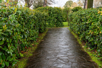 A path through a park is wet from rain