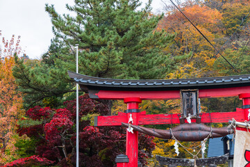 日本　青森県黒石市にある中野もみじ山の紅葉と中野神社の鳥居