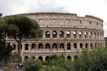 The Colosseum is a large, ancient building with a tree in front of it