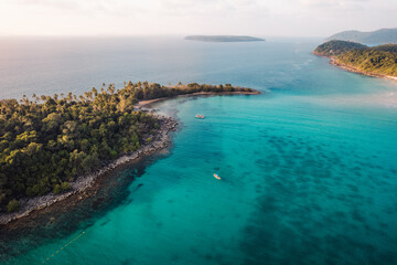 Tropical island and palm trees, bird's-eye view