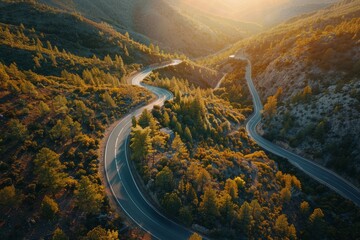 Mountain road winding through a forest at sunset