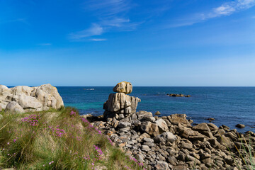 Sur le littoral breton, amas rocheux, oyats et fleurs violettes défient la mer, offrant une vue...