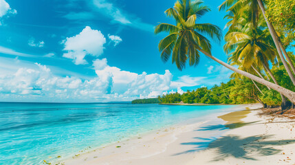 A tranquil tropical beach with palm trees and turquoise waters