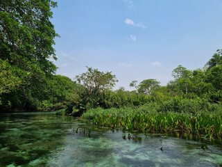 color, green, tree, waterfall, sky, paisage