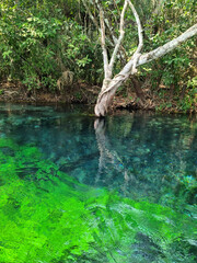 nature, water, tree, waterfall, green, sky, blue 