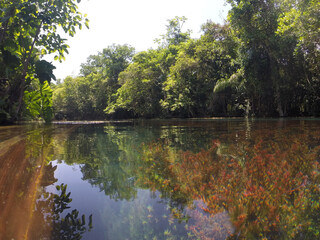 water, river, lake, landscape, tree, nature, sky,