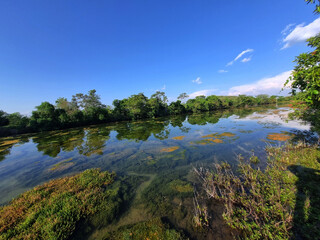 river, lake, water, landscape, nature, sky, forest