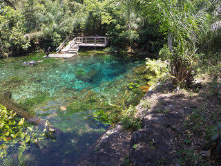 water, river, nature, bridge, park, landscape, tree