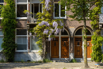 Amsterdam, the Netherlands. 13 May 2023. Facades covered with flowers and plants of buildings in Amsterdam, historical canal brick houses in a row.