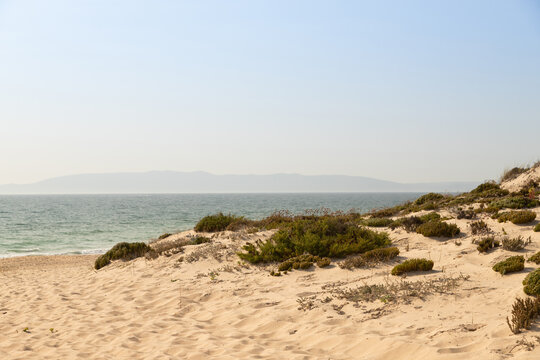 Dunes on the deserted beach in Comporta, Alentejo Portugal