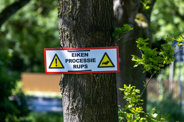 Utrecht, the Netherlands. 3 June 2023. Eikenprocessierups sign. Oak processionary caterpillar warning sign mounted on a trees.