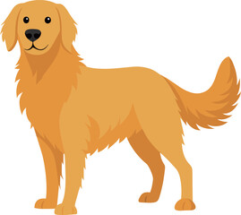 Hand drawn golden retriever dog breed illustration
