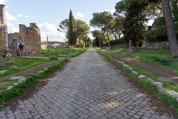 A cobblestone street with trees lining the sides