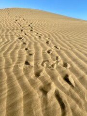 Gran Canaria - Dünen von Maspalomas -Spuren im Sand - 