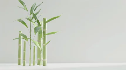 Foto op Plexiglas anti-reflex A white background with bamboo illuminated by studio lighting, © lc design