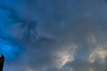 A cloudy sky with a bird flying in it