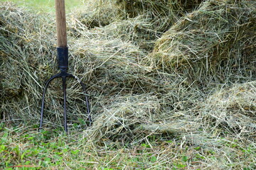 Fresh dried hay in a meadow with a pitchfork, hay harvest in the countryside	