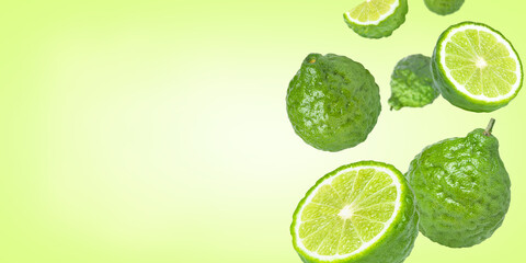 Fresh bergamot or kaffir lime fruit with slice levitate isolated on green color background. Copy...