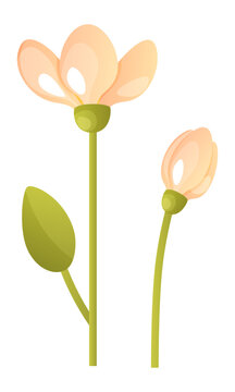cartoon flowers with peach petals clip art preview