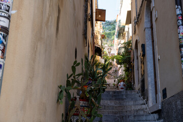 A narrow alleyway with a plant on the steps