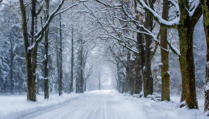 Naklejka premium A mesmerizing scene of snow falling gently to the ground, creating a beautiful winter wonderland. The HD camera captures the delicate flakes as they blanket the landscape, turning