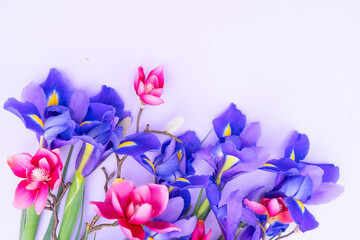 Fresh iris flowers with orchids, spring background with copy space