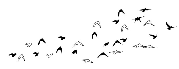 Flying birds silhouette flock. hand drawing. Not AI, Vector illustration