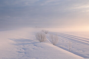 Fototapeta na wymiar 霧氷と霧で幻想的な雰囲気となった、河川敷沿いの農地