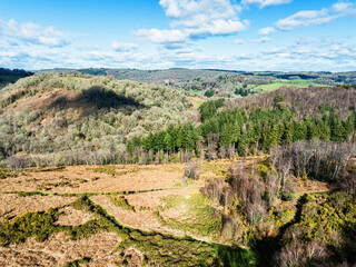 Winter over Hills and valleys in Dartmoor Park, East Dartmoor National Nature Reserve, Yarner Wood, Bovey Tracey, England