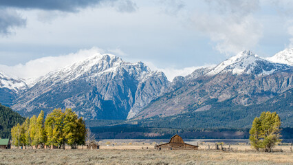 Teton Range and Mormon Row Historic District at Antelope Flats in Grand Teton National Park during autumn in Wyoming - 753005036
