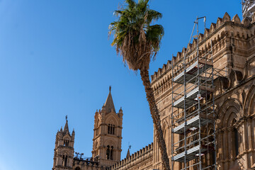 Fototapeta premium A palm tree is in front of a building with a blue sky in the background