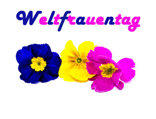 Grafik Weltfrauentag Blumen